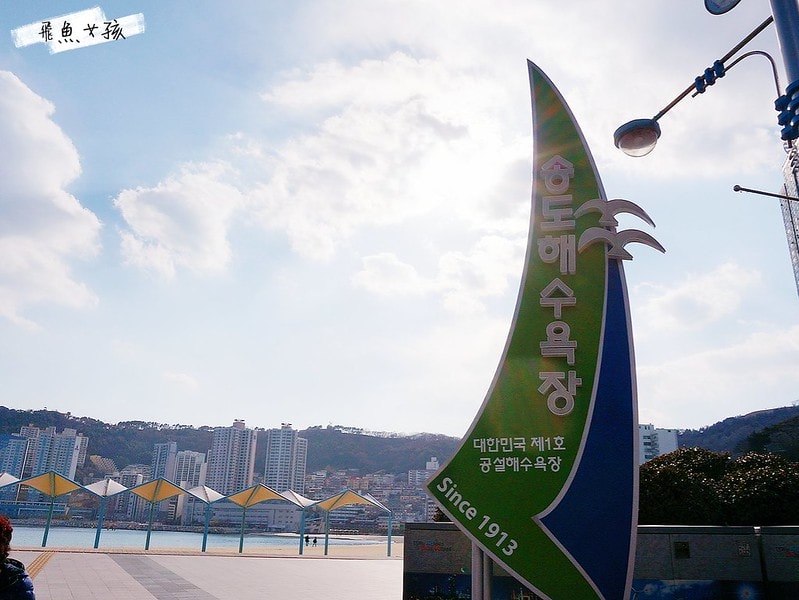 松島天空步道SKY WALK,松島雲端散步路,甘川洞文化村到松島,交通資訊,公車路線