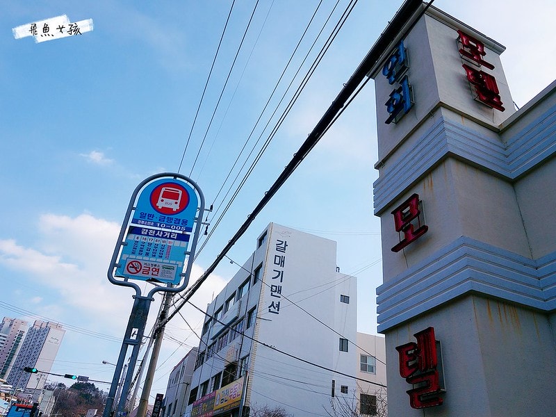 松島天空步道SKY WALK,松島雲端散步路,甘川洞文化村到松島,交通資訊,公車路線