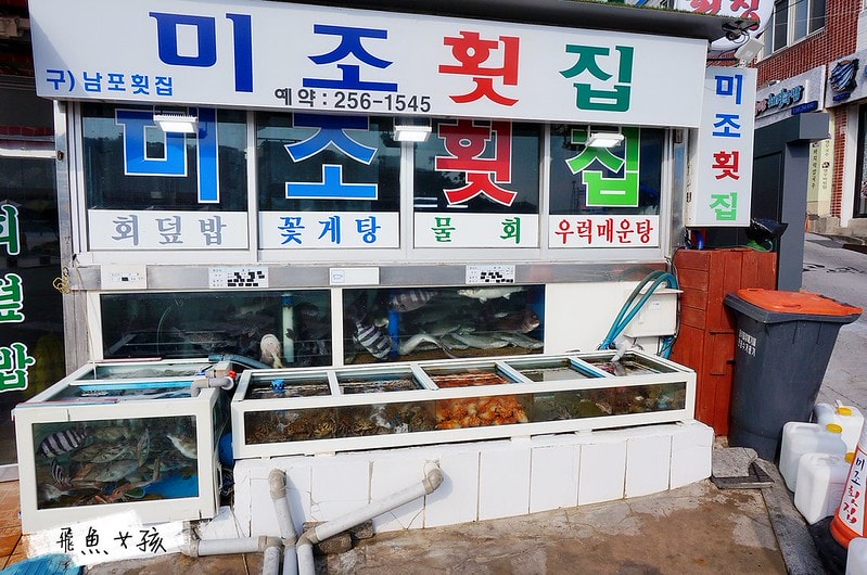 松島天空步道SKY WALK,松島雲端散步路,甘川洞文化村到松島,交通資訊,公車路線