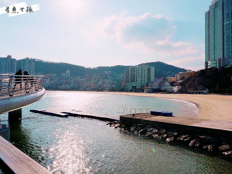 松島天空步道SKY WALK,松島雲端散步路,甘川洞文化村到松島,交通資訊,公車路線