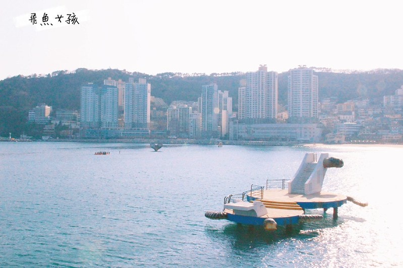 松島天空步道SKY WALK,松島雲端散步路,甘川洞文化村到松島,交通資訊,公車路線