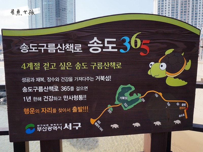 松島天空步道SKY WALK,松島雲端散步路,甘川洞文化村到松島,交通資訊,公車路線