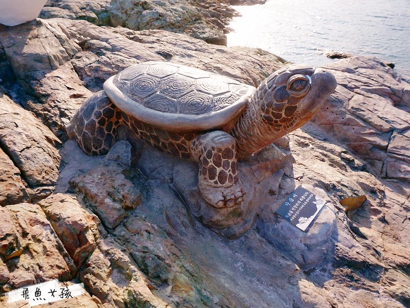 松島天空步道SKY WALK,松島雲端散步路,甘川洞文化村到松島,交通資訊,公車路線