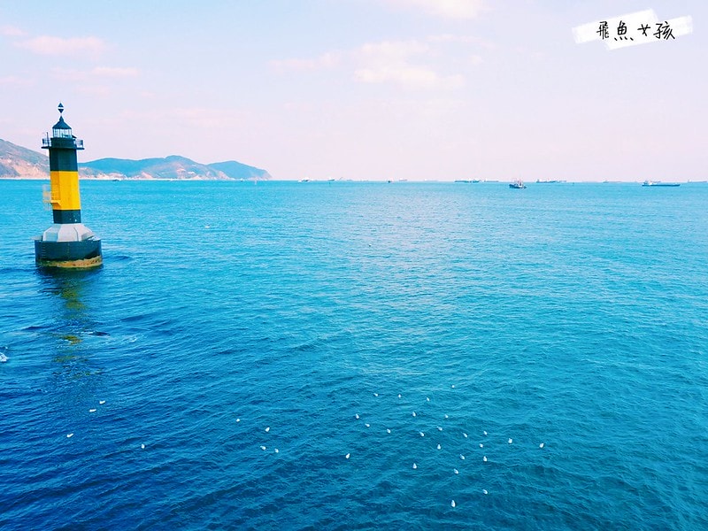 松島天空步道SKY WALK,松島雲端散步路,甘川洞文化村到松島,交通資訊,公車路線