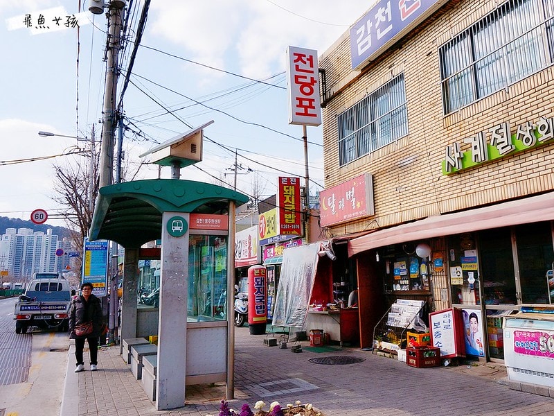 松島天空步道SKY WALK,松島雲端散步路,甘川洞文化村到松島,交通資訊,公車路線