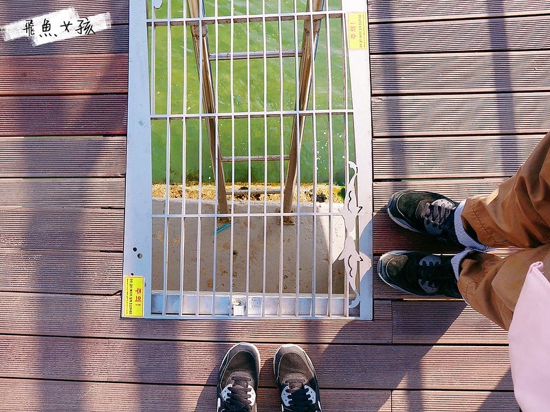 松島天空步道SKY WALK,松島雲端散步路,甘川洞文化村到松島,交通資訊,公車路線
