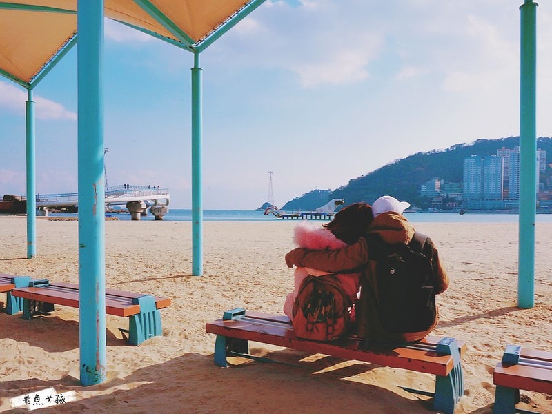 松島天空步道SKY WALK,松島雲端散步路,甘川洞文化村到松島,交通資訊,公車路線