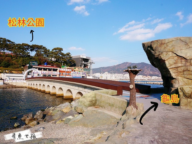 松島天空步道SKY WALK,松島雲端散步路,甘川洞文化村到松島,交通資訊,公車路線