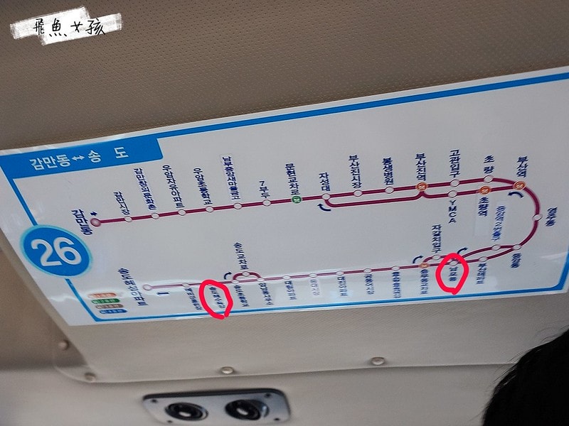 松島天空步道SKY WALK,松島雲端散步路,甘川洞文化村到松島,交通資訊,公車路線