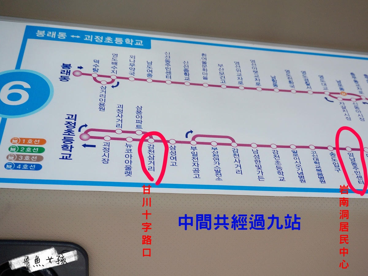 松島天空步道SKY WALK,松島雲端散步路,甘川洞文化村到松島,交通資訊,公車路線