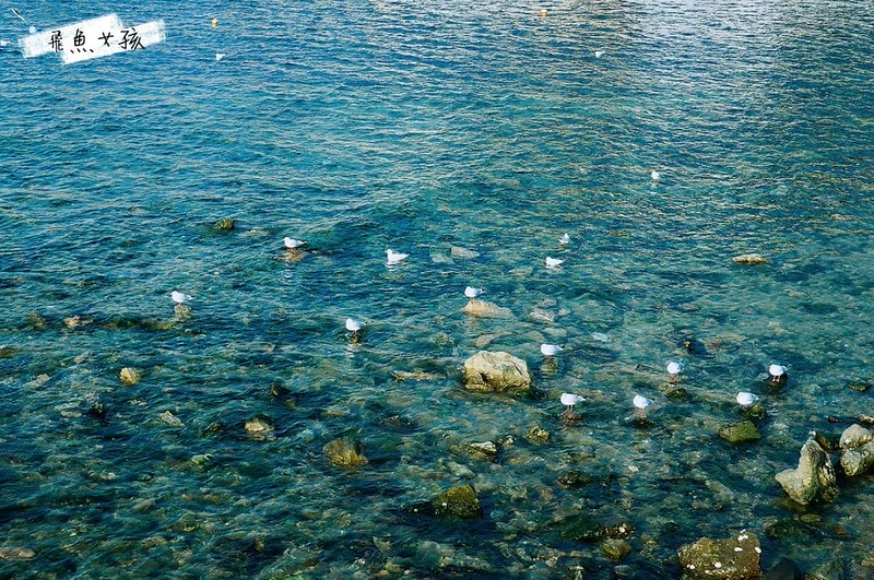 松島天空步道SKY WALK,松島雲端散步路,甘川洞文化村到松島,交通資訊,公車路線