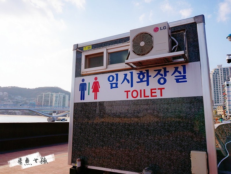 松島天空步道SKY WALK,松島雲端散步路,甘川洞文化村到松島,交通資訊,公車路線