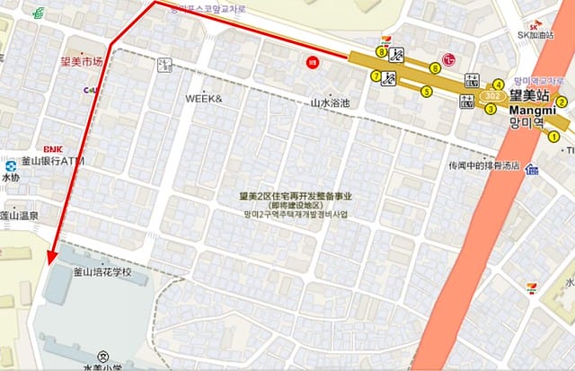 부산배화학교 釜山培花學校  櫻花 釜山櫻花