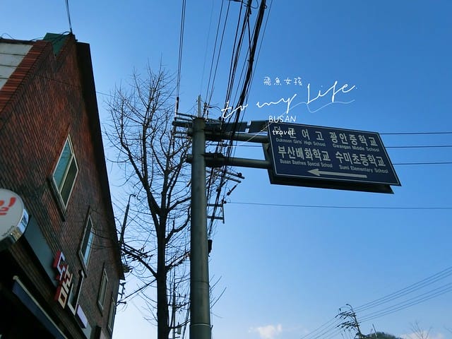 부산배화학교 釜山培花學校  櫻花 釜山櫻花