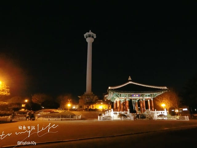 釜山夜景 釜山塔 (부산타워) 龍頭山公園(용두산공원) 釜山必去地標
