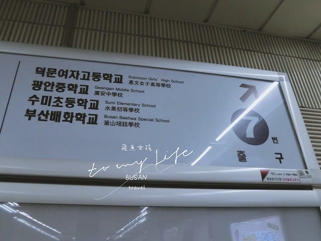 부산배화학교 釜山培花學校  櫻花 釜山櫻花