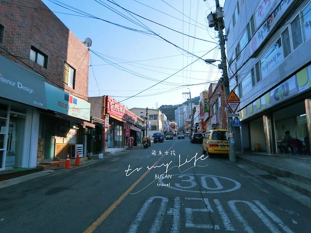 부산배화학교 釜山培花學校  櫻花 釜山櫻花