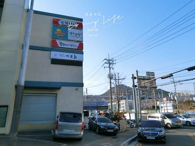 부산배화학교 釜山培花學校  櫻花 釜山櫻花