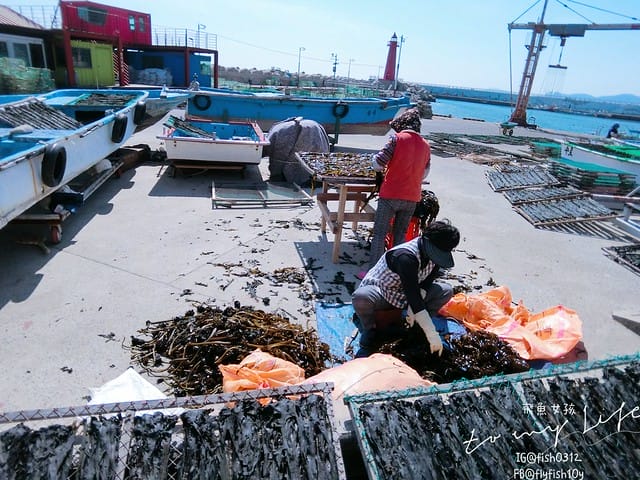 青沙浦 (청사포)  青沙浦天空步道 紅白燈塔  釜山 海雲台 釜山必去地標