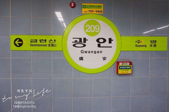 韓國釜山 廣安大橋夜景 廣安里散步路 海景咖啡廳 釜山知名地標 廣安大橋(광안대교) 廣安里海水浴場(광안리해수욕장)