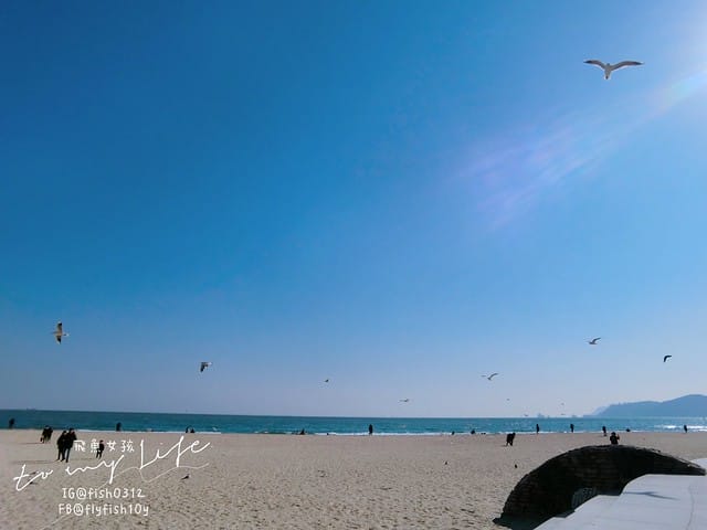 韓國釜山,海雲台市場,海雲台鱈魚湯대구탕,釜山美食
