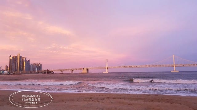 韓國釜山,廣安大橋夜景,廣安里散步路,釜山海景咖啡廳,廣安大橋,광안대교,廣安里海水浴場,bbq炸雞