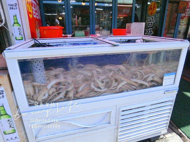 韓國釜山,海雲台市場,海雲台鱈魚湯대구탕,釜山美食
