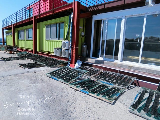 青沙浦 (청사포)  青沙浦天空步道 紅白燈塔  釜山 海雲台 釜山必去地標