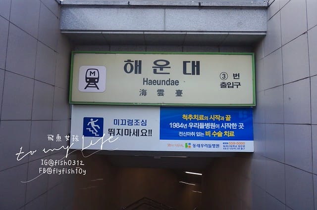 韓國釜山,海雲台市場,海雲台鱈魚湯대구탕,釜山美食