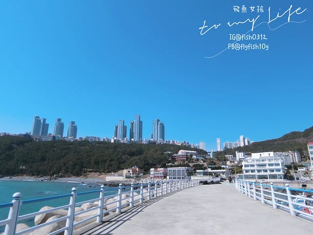 青沙浦 (청사포)  青沙浦天空步道 紅白燈塔  釜山 海雲台 釜山必去地標