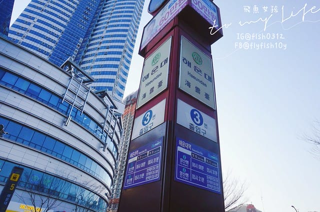 韓國釜山,海雲台市場,海雲台鱈魚湯대구탕,釜山美食