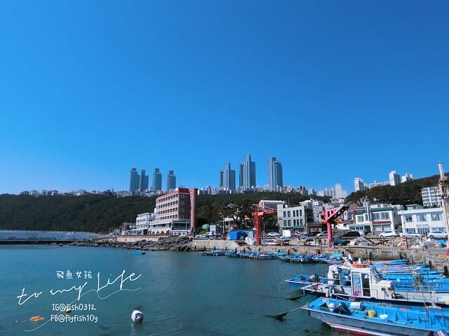 青沙浦 (청사포)  青沙浦天空步道 紅白燈塔  釜山 海雲台 釜山必去地標