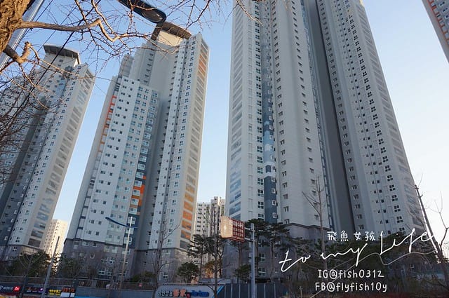 韓國釜山 廣安大橋夜景 廣安里散步路 海景咖啡廳 釜山知名地標 廣安大橋(광안대교) 廣安里海水浴場(광안리해수욕장)