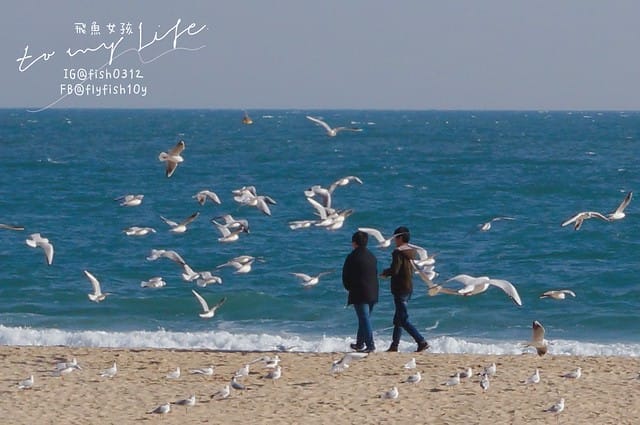 韓國釜山,海雲台市場,海雲台鱈魚湯대구탕,釜山美食
