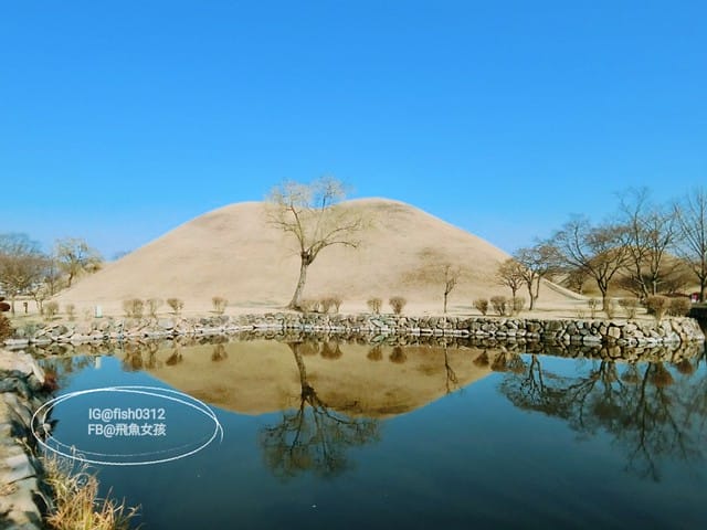 慶州必去 大陵苑  千年古墳天馬塚 (대릉원) 瞻星臺 慶村鄉校 從慶洲搭高速巴士回釜山 慶洲自由行