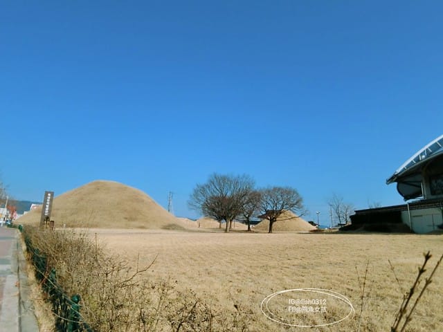 慶州必去 大陵苑  千年古墳天馬塚 (대릉원) 瞻星臺 慶村鄉校 從慶洲搭高速巴士回釜山 慶洲自由行