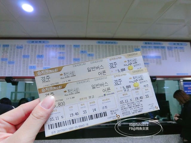 慶州必去 大陵苑  千年古墳天馬塚 (대릉원) 瞻星臺 慶村鄉校 從慶洲搭高速巴士回釜山 慶洲自由行