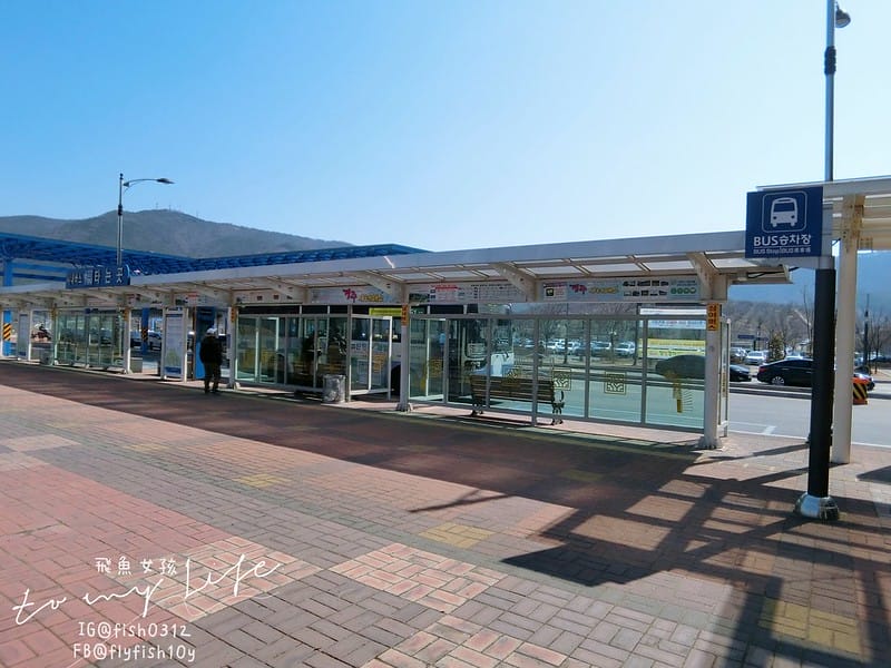 韓國釜山 從釜山到慶洲  釜山慶洲自由行  KTX慶洲一日遊 交通懶人包 屍速列車 釜山站  