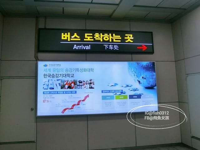 慶州必去 大陵苑  千年古墳天馬塚 (대릉원) 瞻星臺 慶村鄉校 從慶洲搭高速巴士回釜山 慶洲自由行