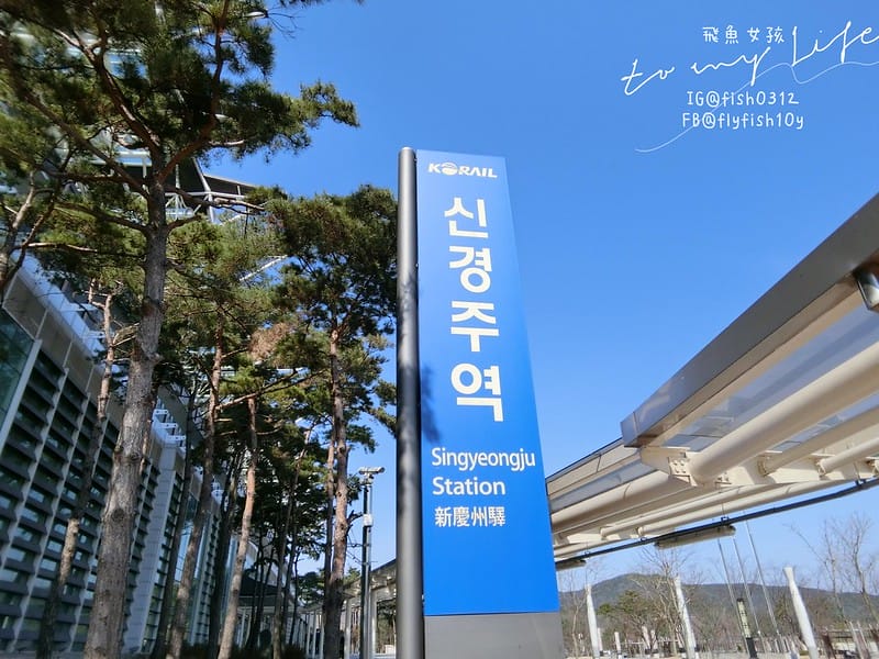 韓國釜山 從釜山到慶洲  釜山慶洲自由行  KTX慶洲一日遊 交通懶人包 屍速列車 釜山站  