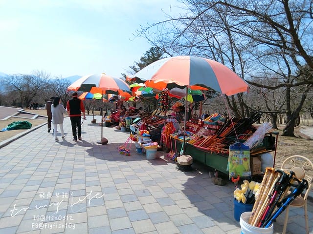 慶州佛國寺(불국사) 世界文化遺產  石窟庵  釜山慶州一日遊