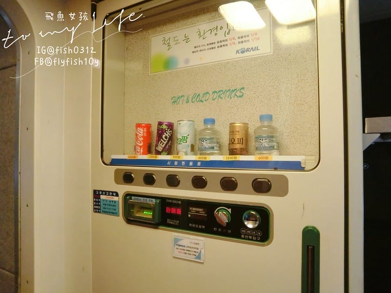 韓國釜山 從釜山到慶洲  釜山慶洲自由行  KTX慶洲一日遊 交通懶人包 屍速列車 釜山站  