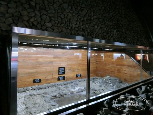 慶州必去 大陵苑  千年古墳天馬塚 (대릉원) 瞻星臺 慶村鄉校 從慶洲搭高速巴士回釜山 慶洲自由行