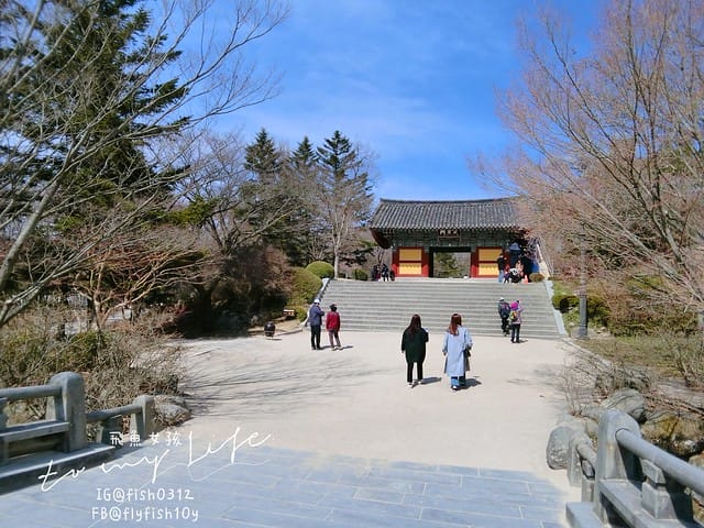 慶州佛國寺(불국사) 世界文化遺產  石窟庵  釜山慶州一日遊