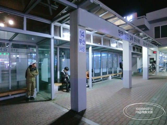 韓國慶洲。怎麼從慶洲搭巴士回釜山 交通懶人包 釜山慶州自由行  慶州一日遊