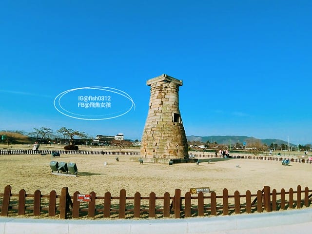 慶州必去 大陵苑  千年古墳天馬塚 (대릉원) 瞻星臺 慶村鄉校 從慶洲搭高速巴士回釜山 慶洲自由行