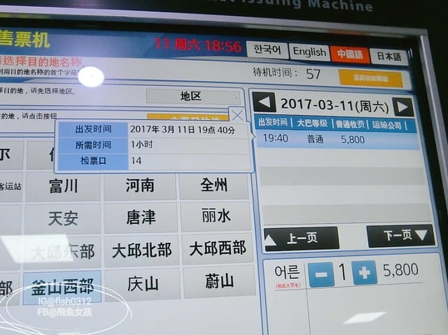 韓國慶洲。怎麼從慶洲搭巴士回釜山 交通懶人包 釜山慶州自由行  慶州一日遊