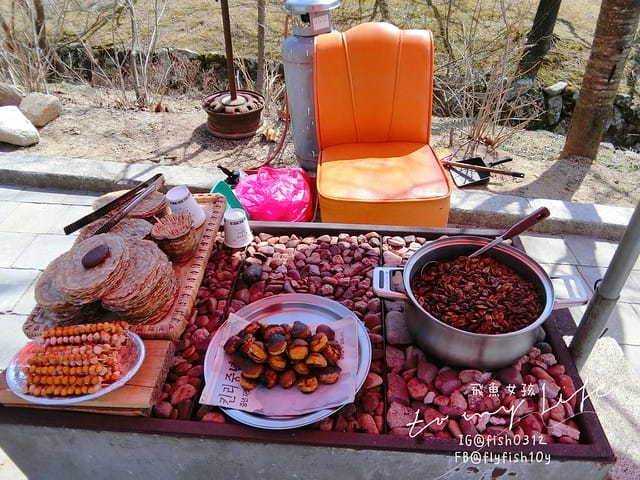 慶州佛國寺(불국사) 世界文化遺產  石窟庵  釜山慶州一日遊