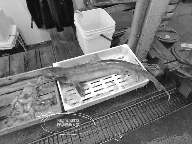 慶州必吃 慶州火車站前的城東市場 韓食吃到飽 小菜食堂(경주 성동시장)