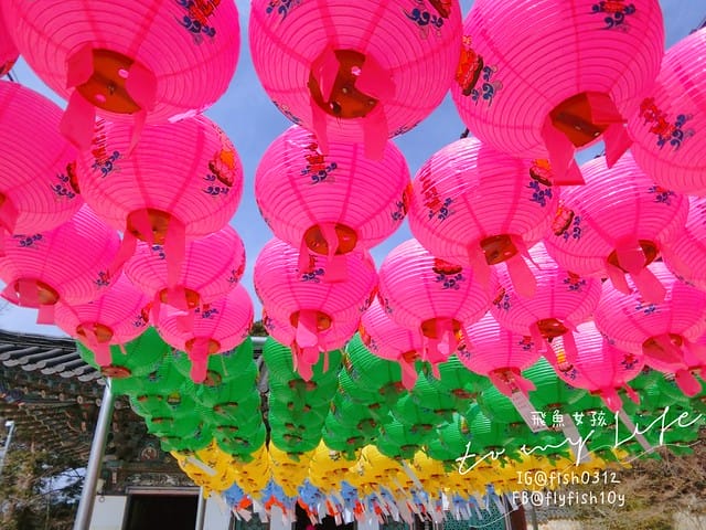 慶州佛國寺(불국사) 世界文化遺產  石窟庵  釜山慶州一日遊